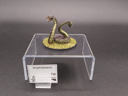 Amphisbaena